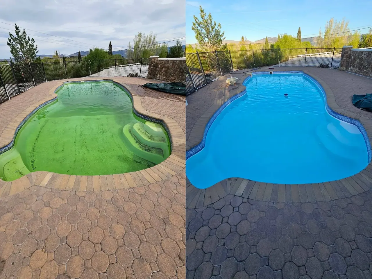 Before-and-after green pool cleanup showing algae-filled water restored to clear blue