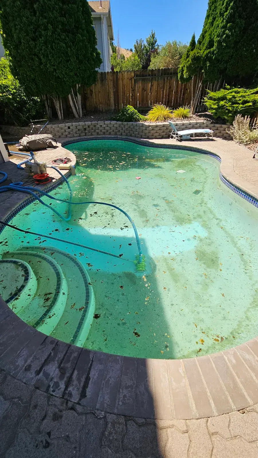 Residential pool with green water and debris during a professional cleanup visit